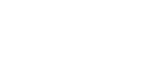 Logo Box Italy